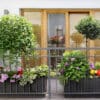 Potted flowers on the terrace
