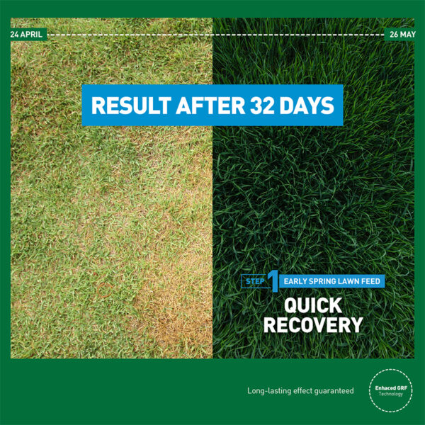 Results of Early Spring Lawn Feed Application – Mr. Green Grass