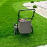 Mowing the grass in early spring