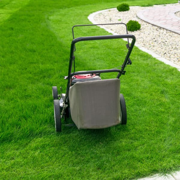 Early spring lawn mowing