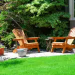 Deck chairs on the allotment