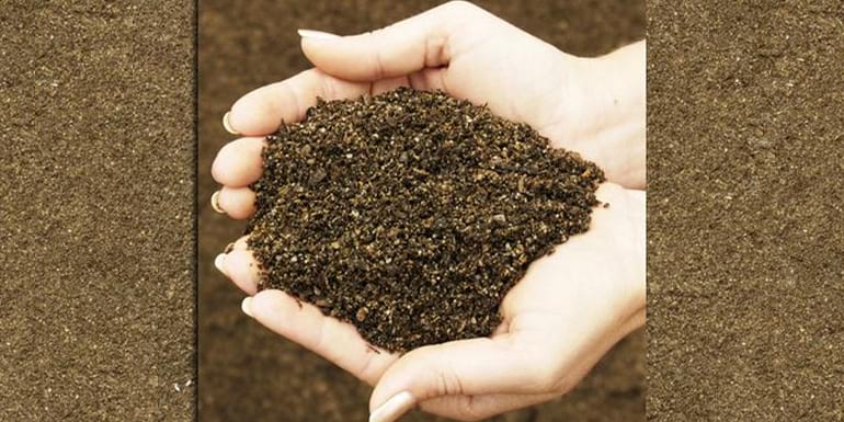 top dressing mixture