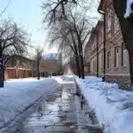 Eco-Friendly Ice Melter – Swift Thaw – Mr. Green Grass® - Image 6