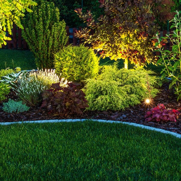 Lawn illuminated after dusk