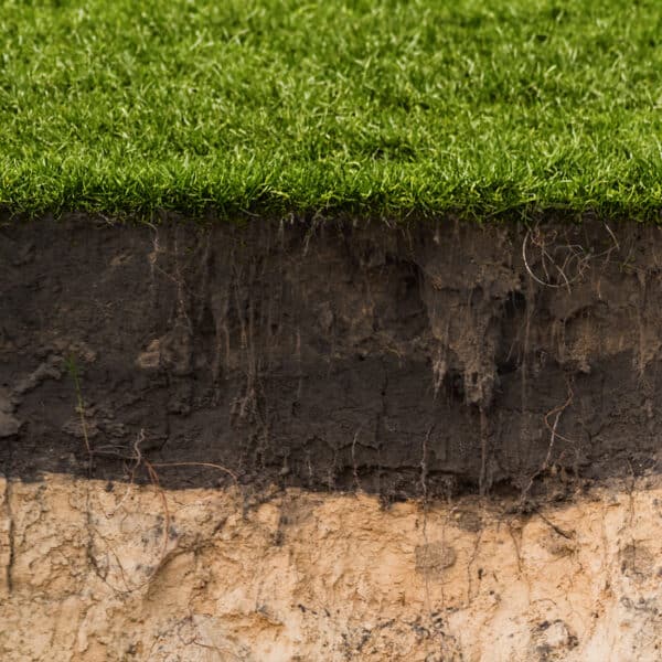 Soil cross-section