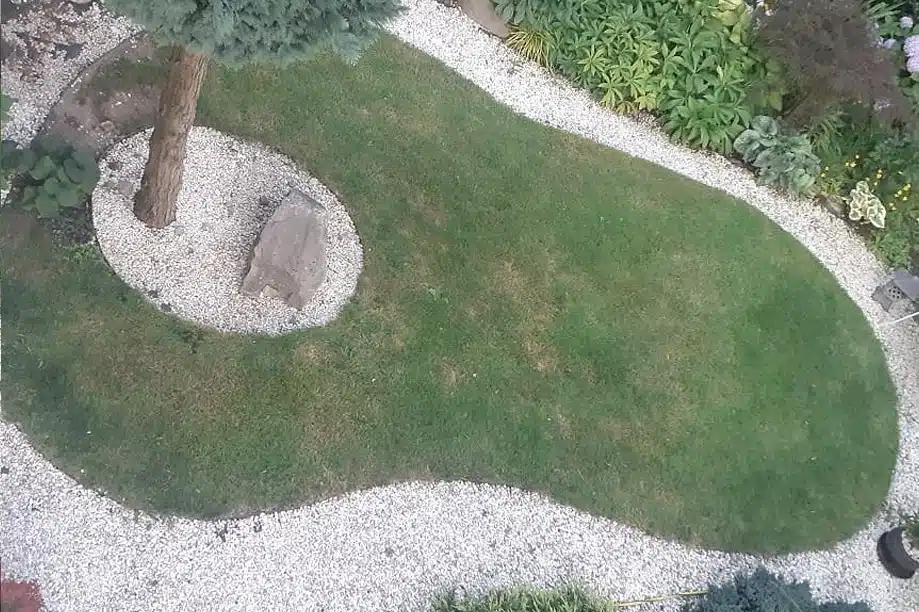 Trawnik po 14 dniach od regeneracji