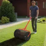 Lawn without moss