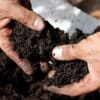 Conditioned soil