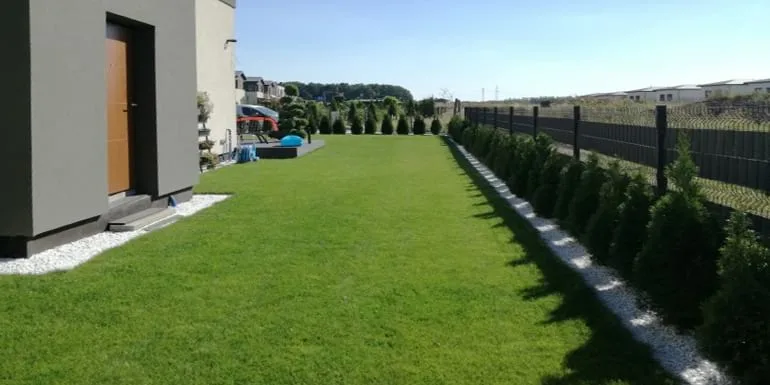 establishing a lawn